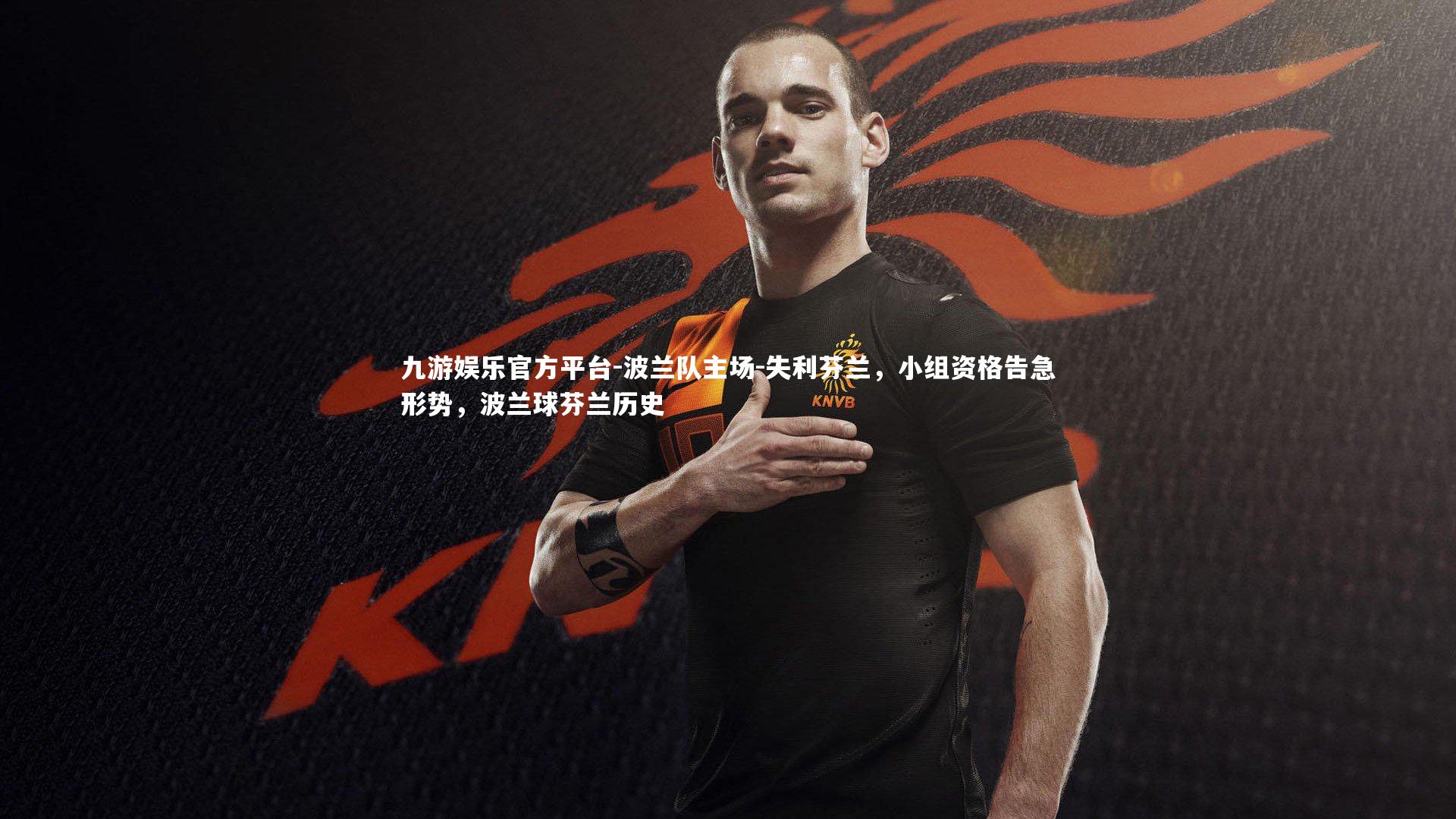 波兰队主场-失利芬兰，小组资格告急形势，波兰球芬兰历史